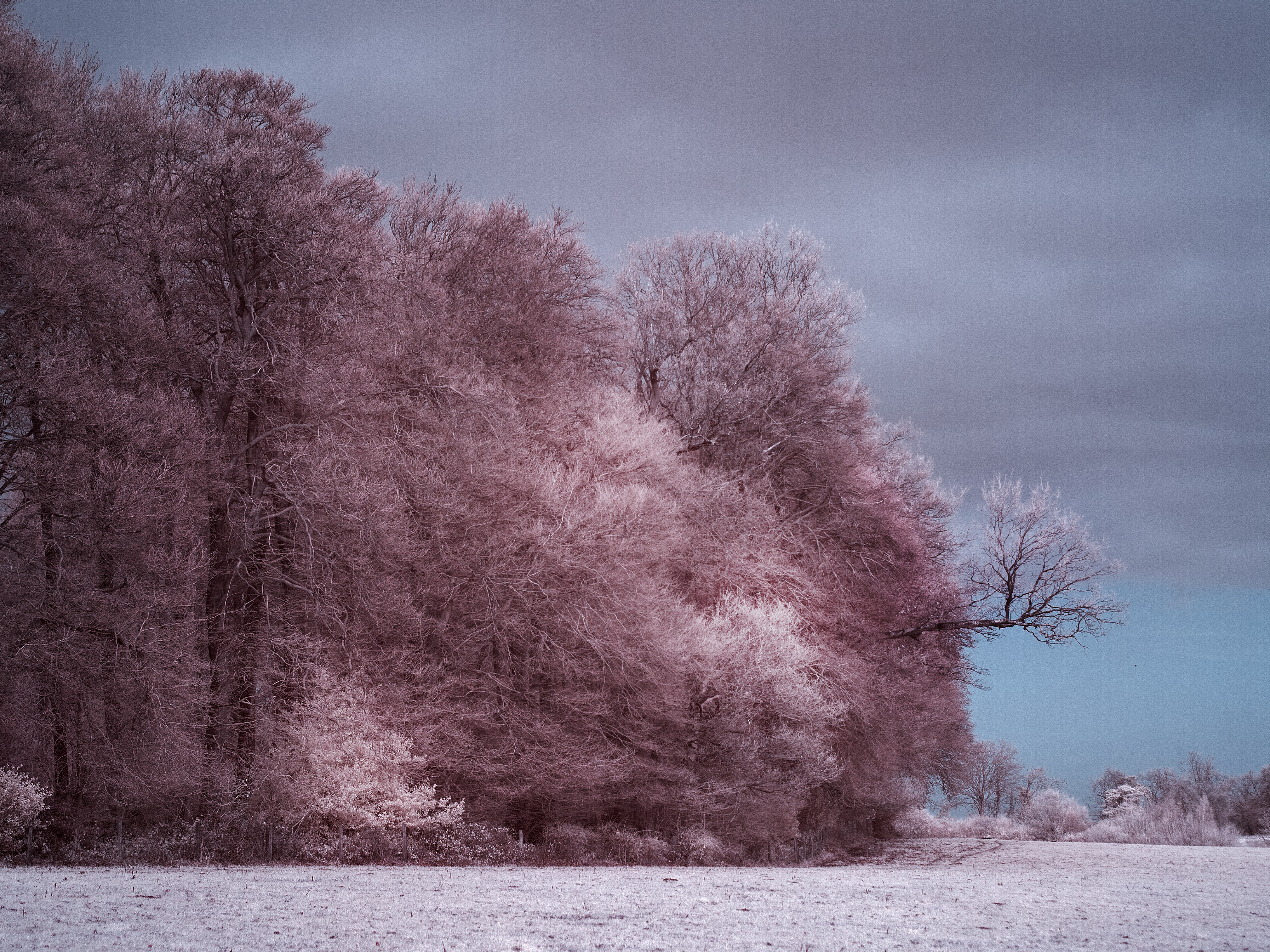 Invisible Light #17