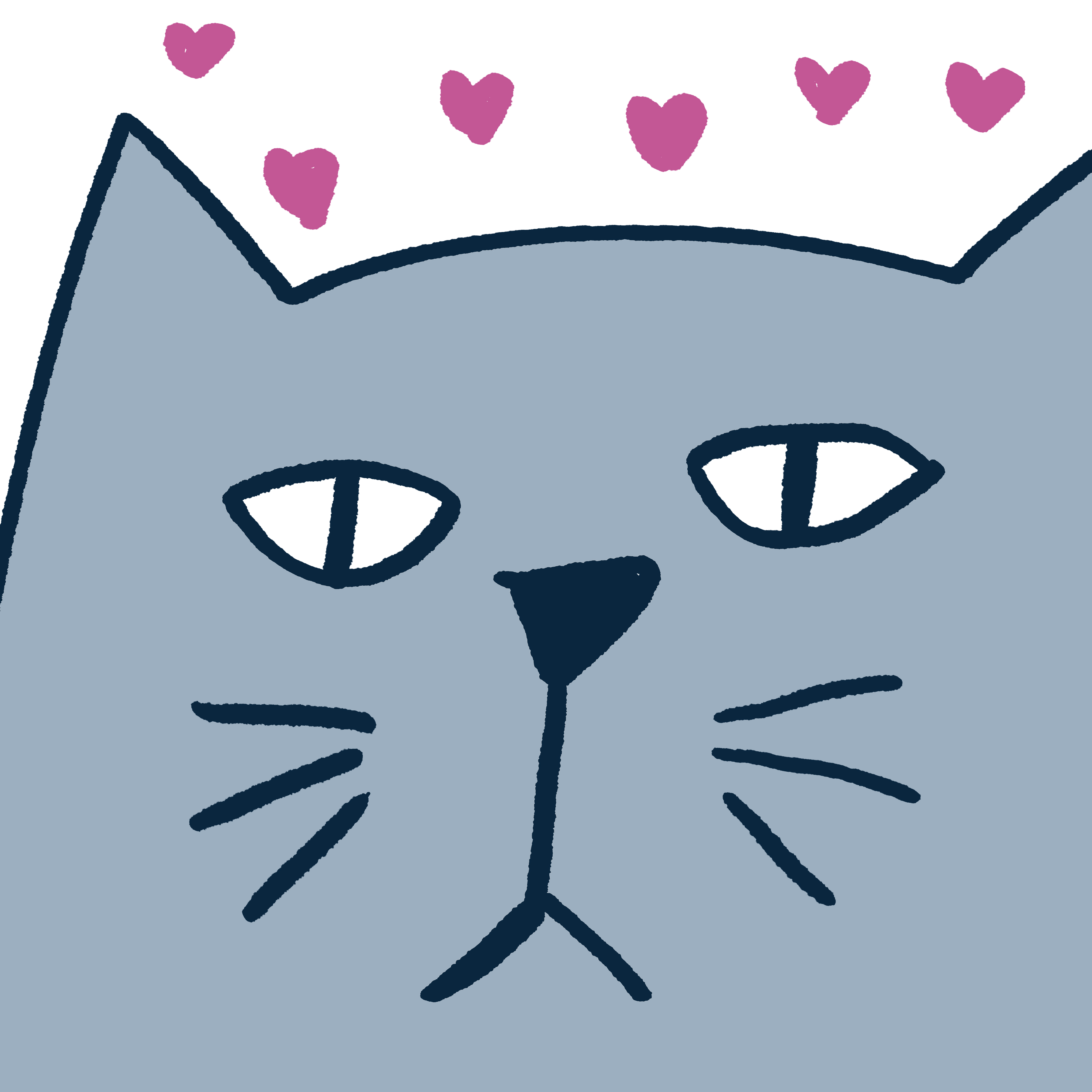 Serious cat #6