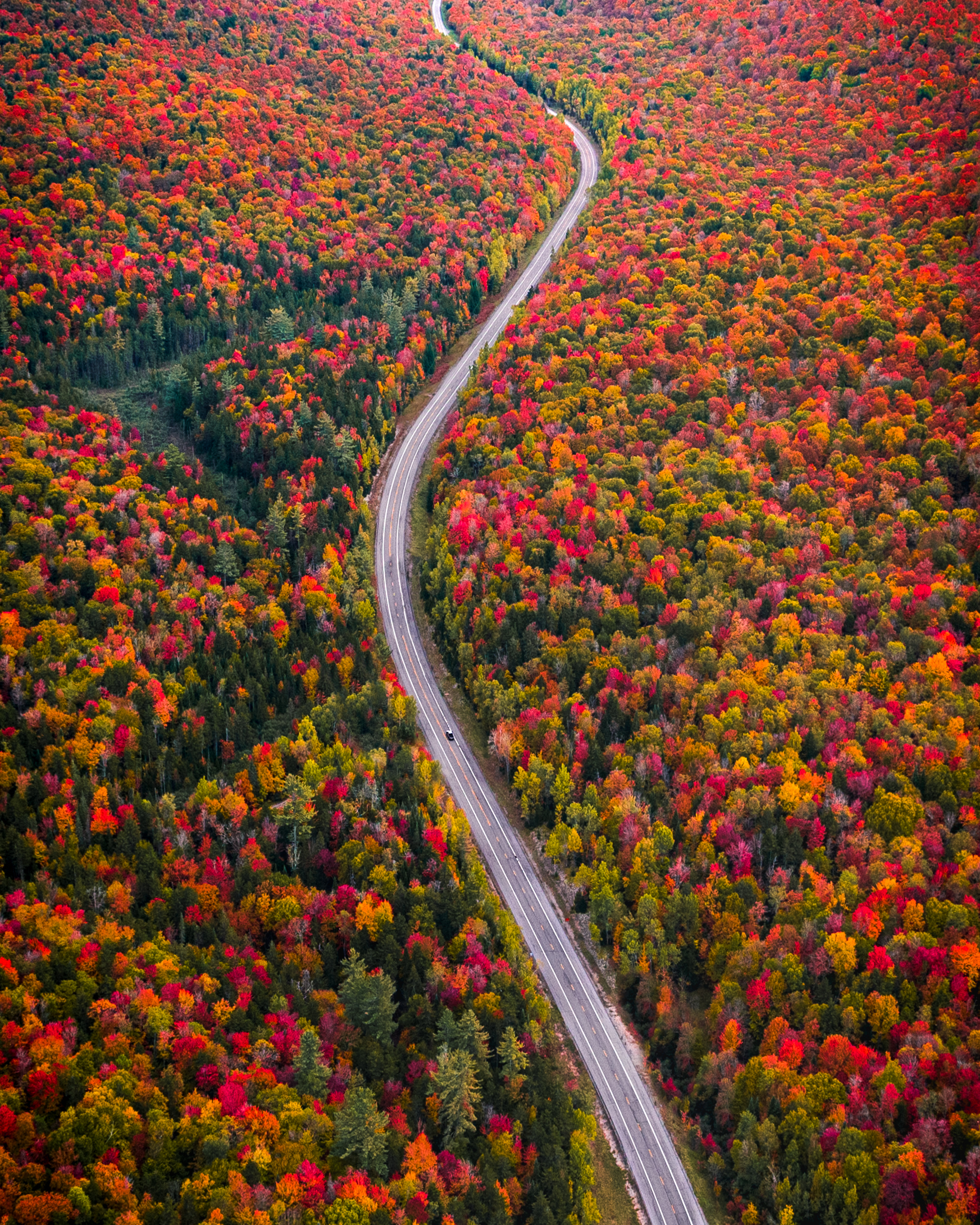 Skittle Road