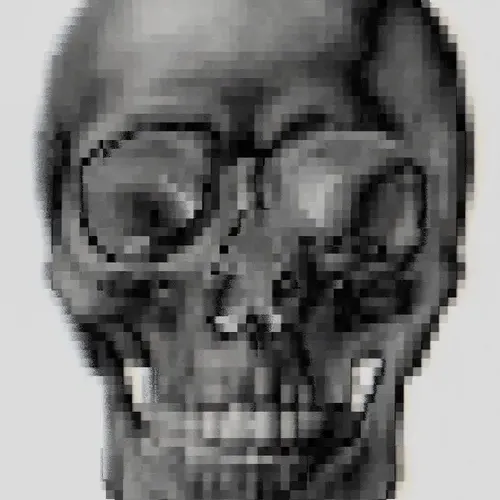 Memento Mori #256