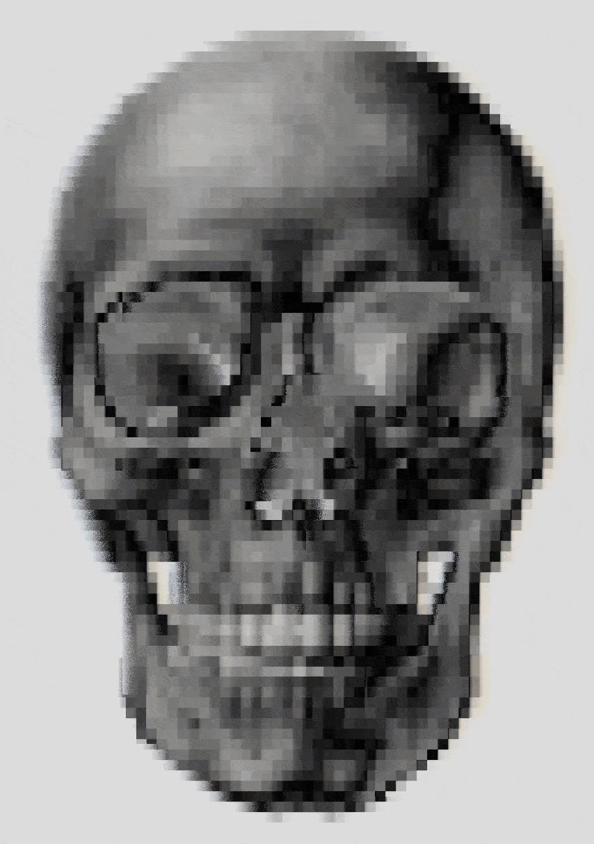 Memento Mori #256