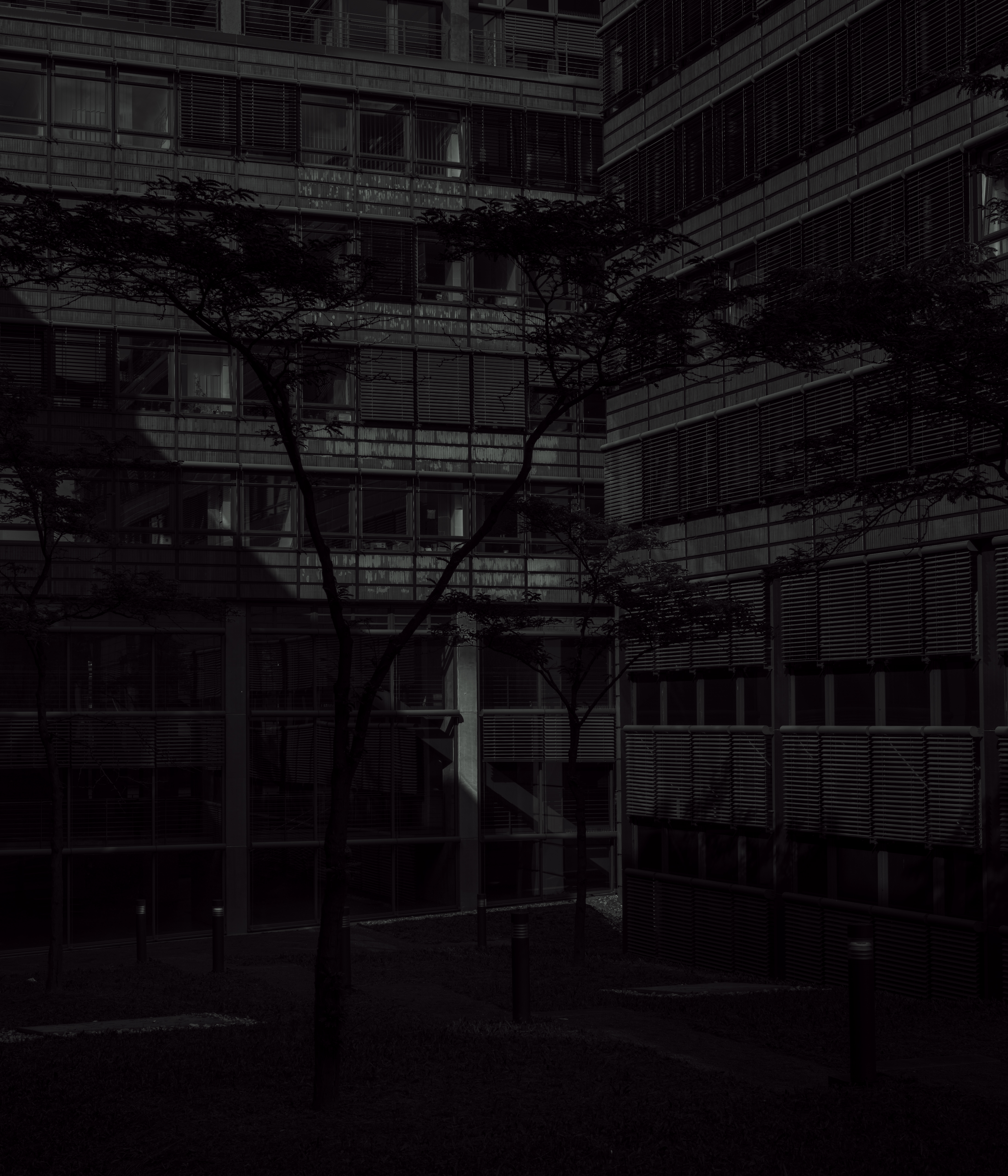 Carbon Cities #8