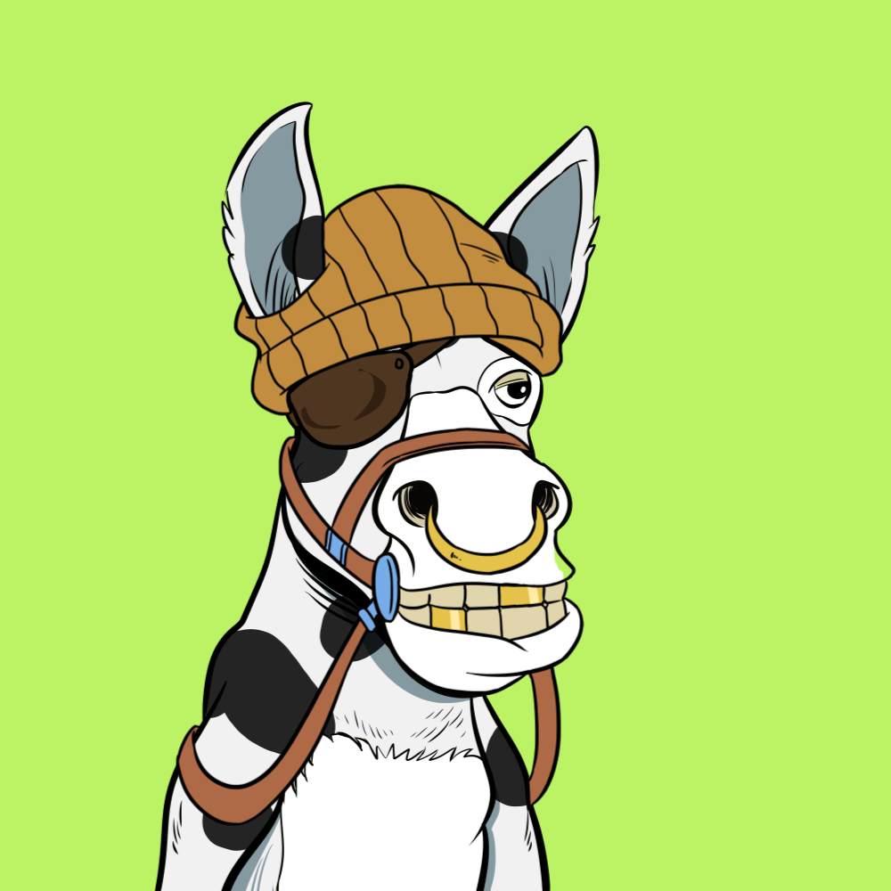 Donkey #6