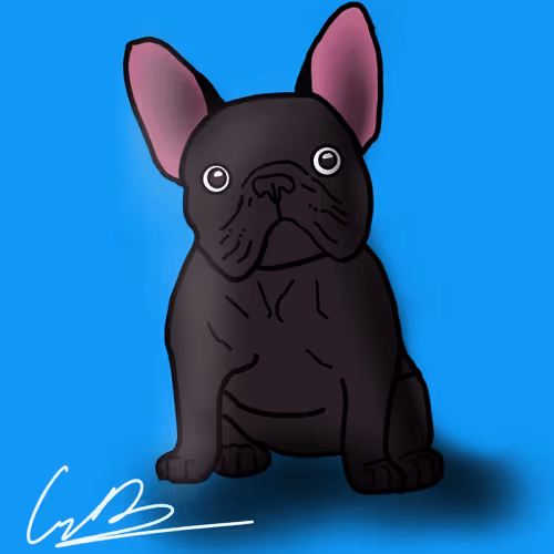 Ferocious Frenchie