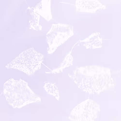 Echotombs #27 - Like Skeletons