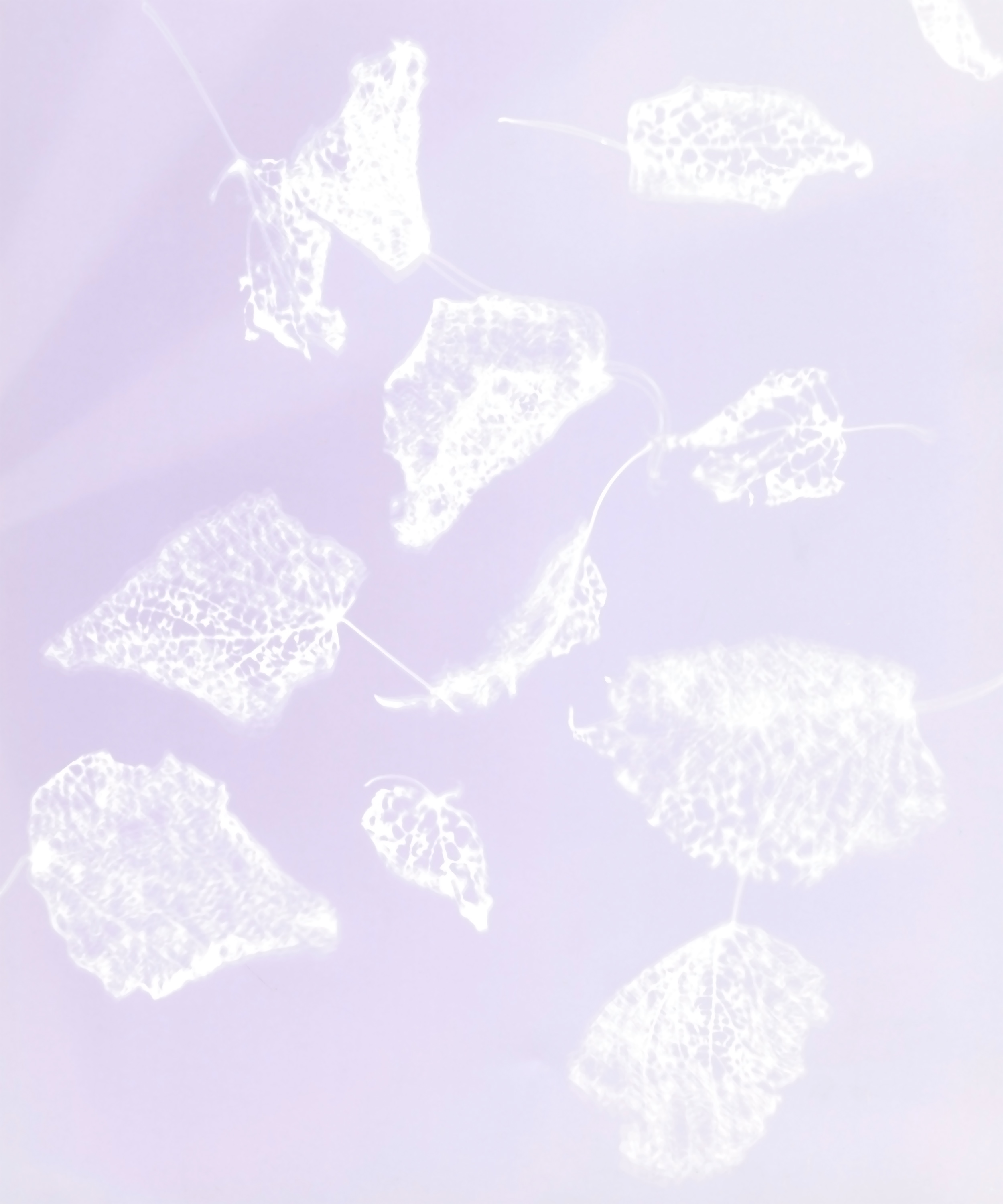 Echotombs #27 - Like Skeletons