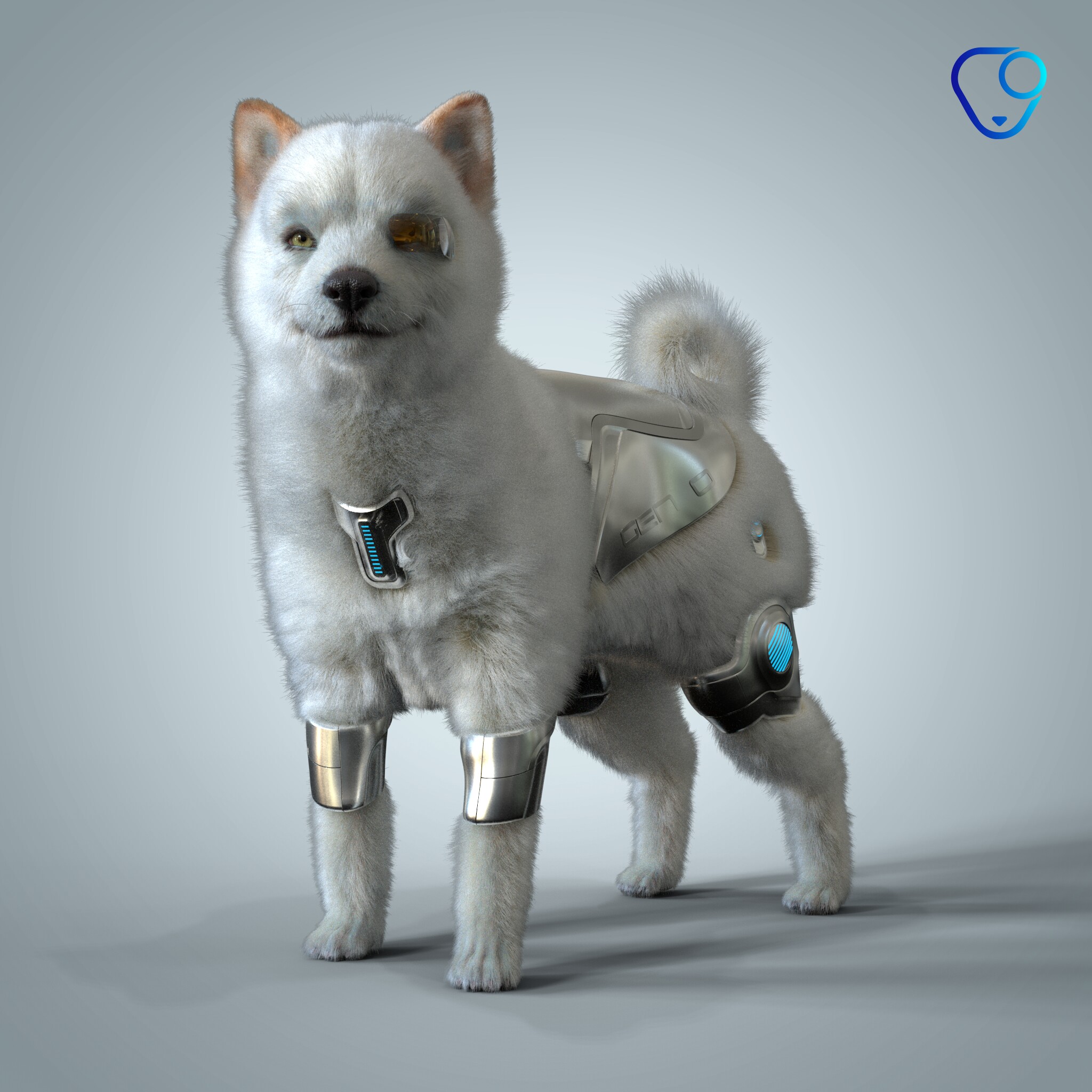 Shiba Inu #621