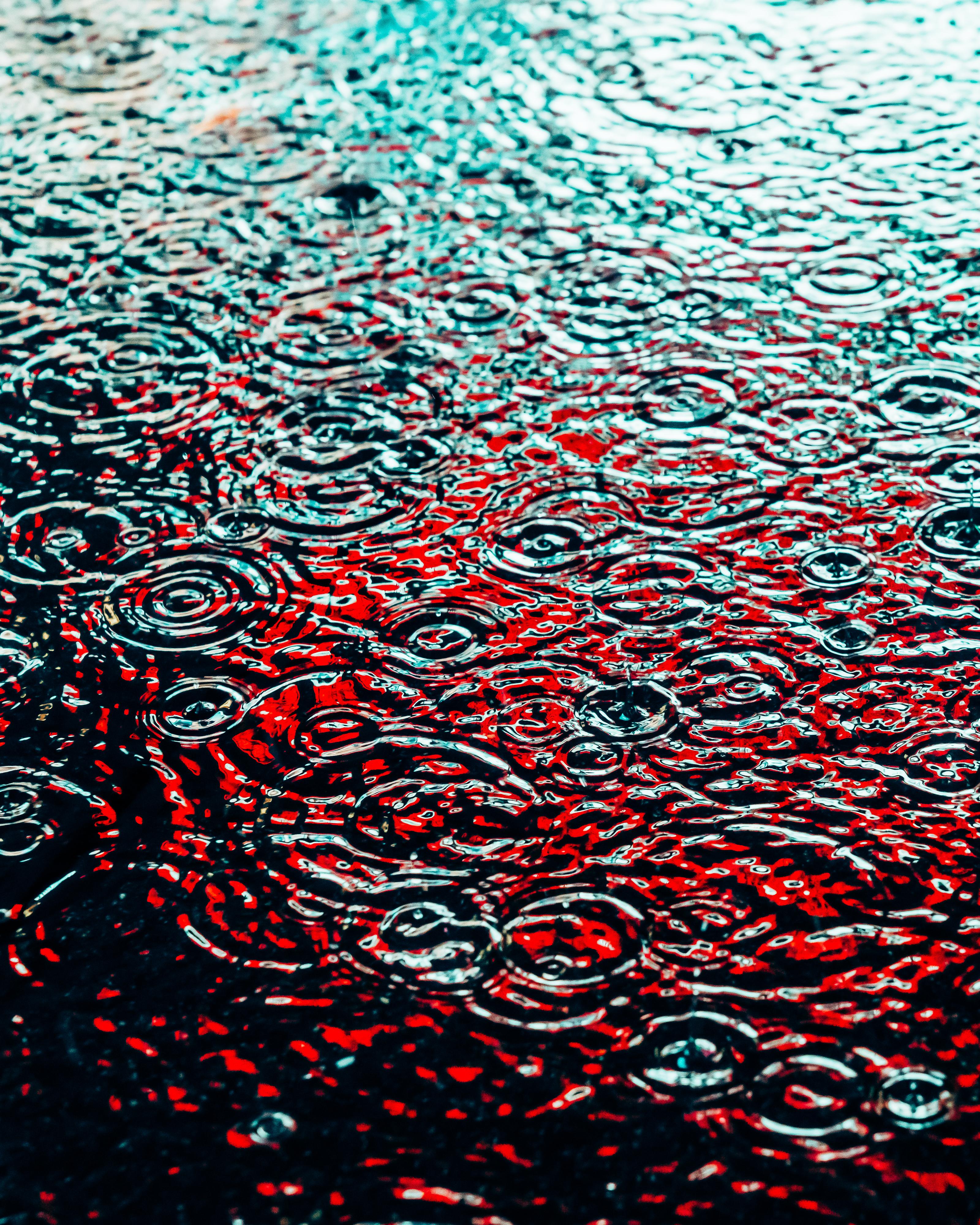 DRIP #930