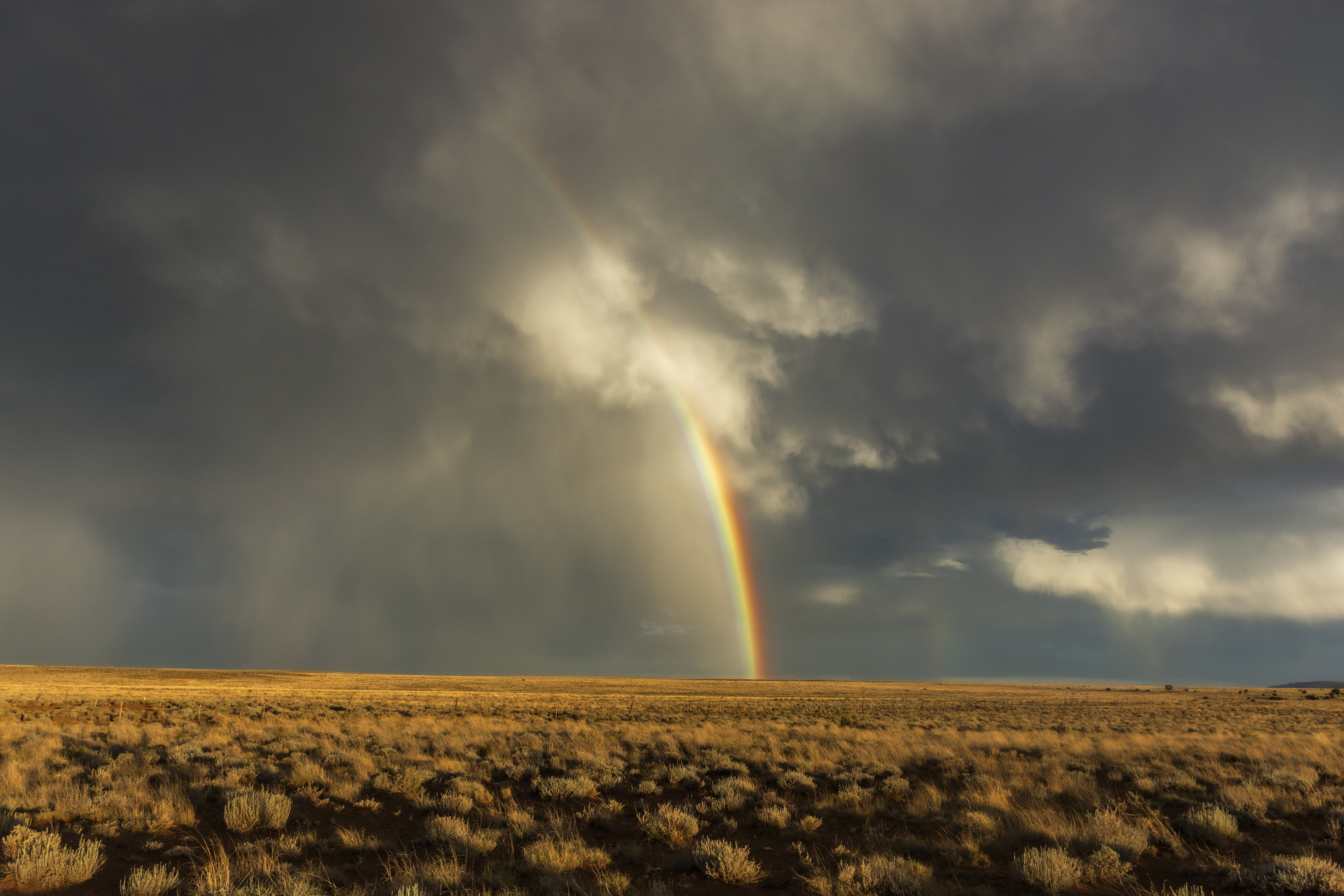 Arizona Monsoon Rainbow 