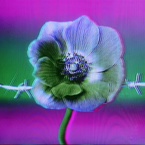 Flower #05