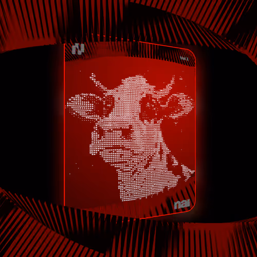 Bull #48