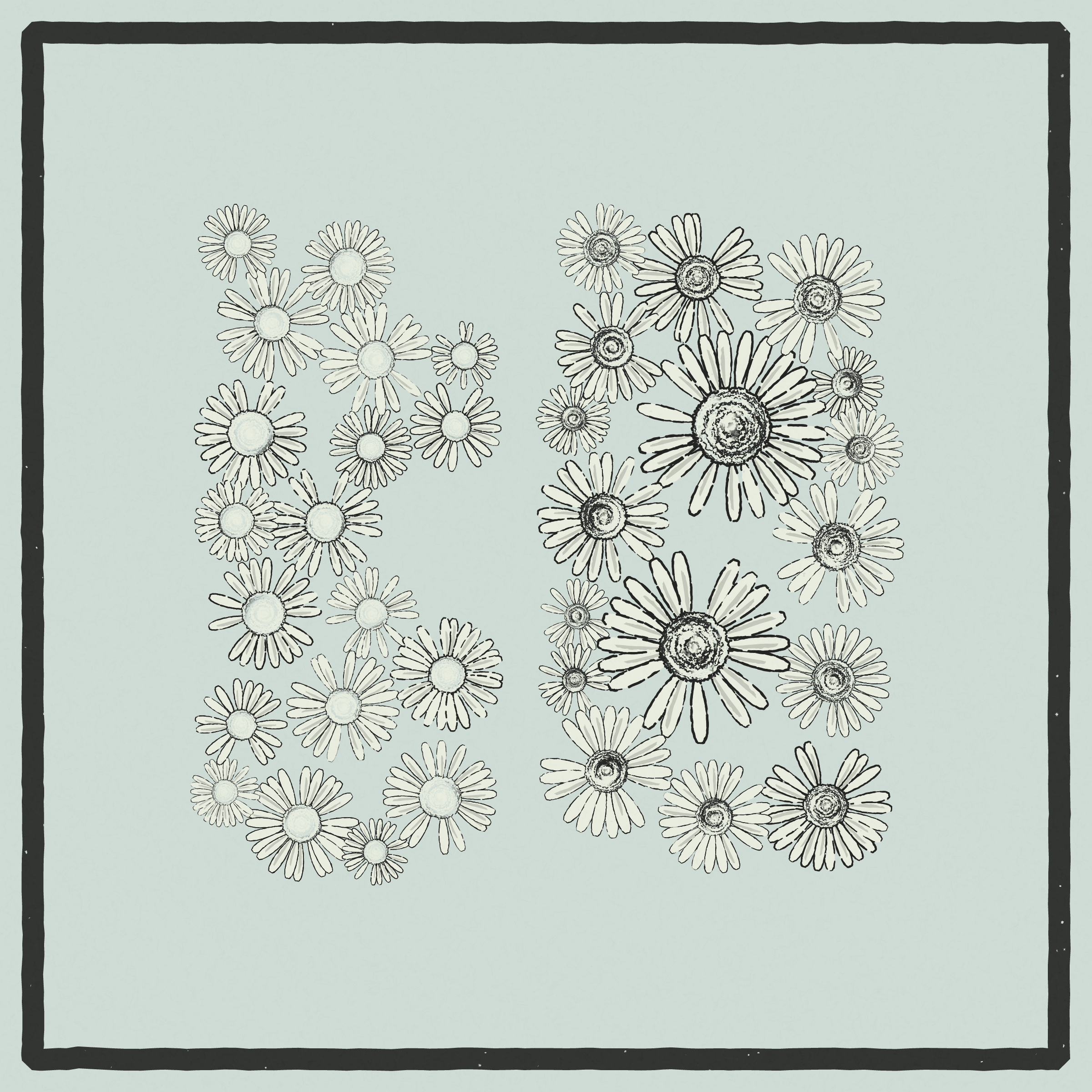 Daisies #3