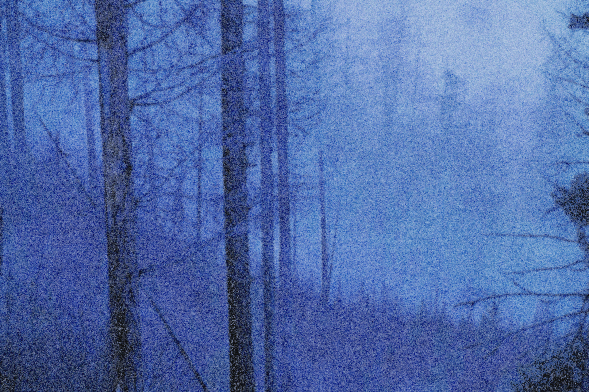 the mist
