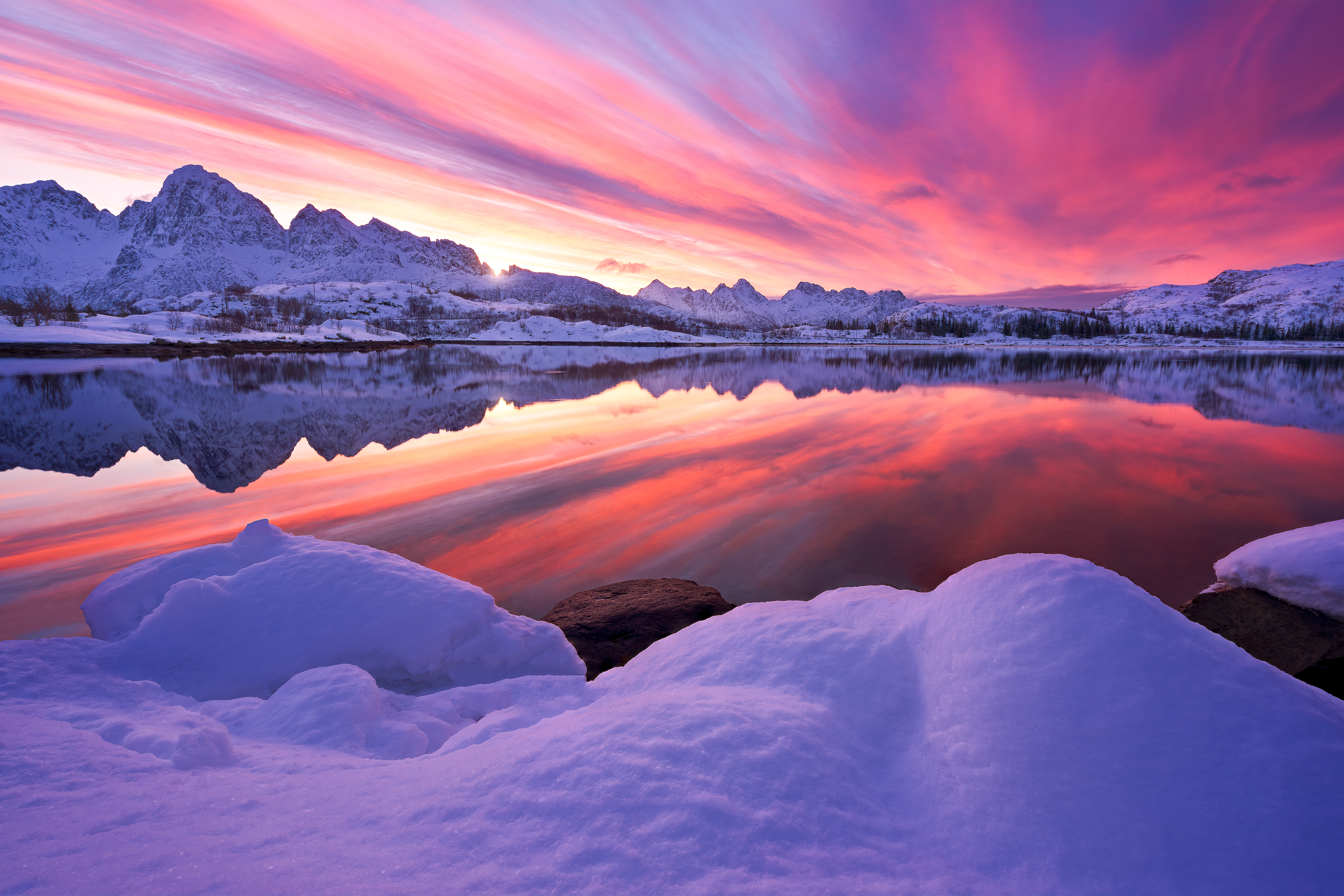 Arctic delight