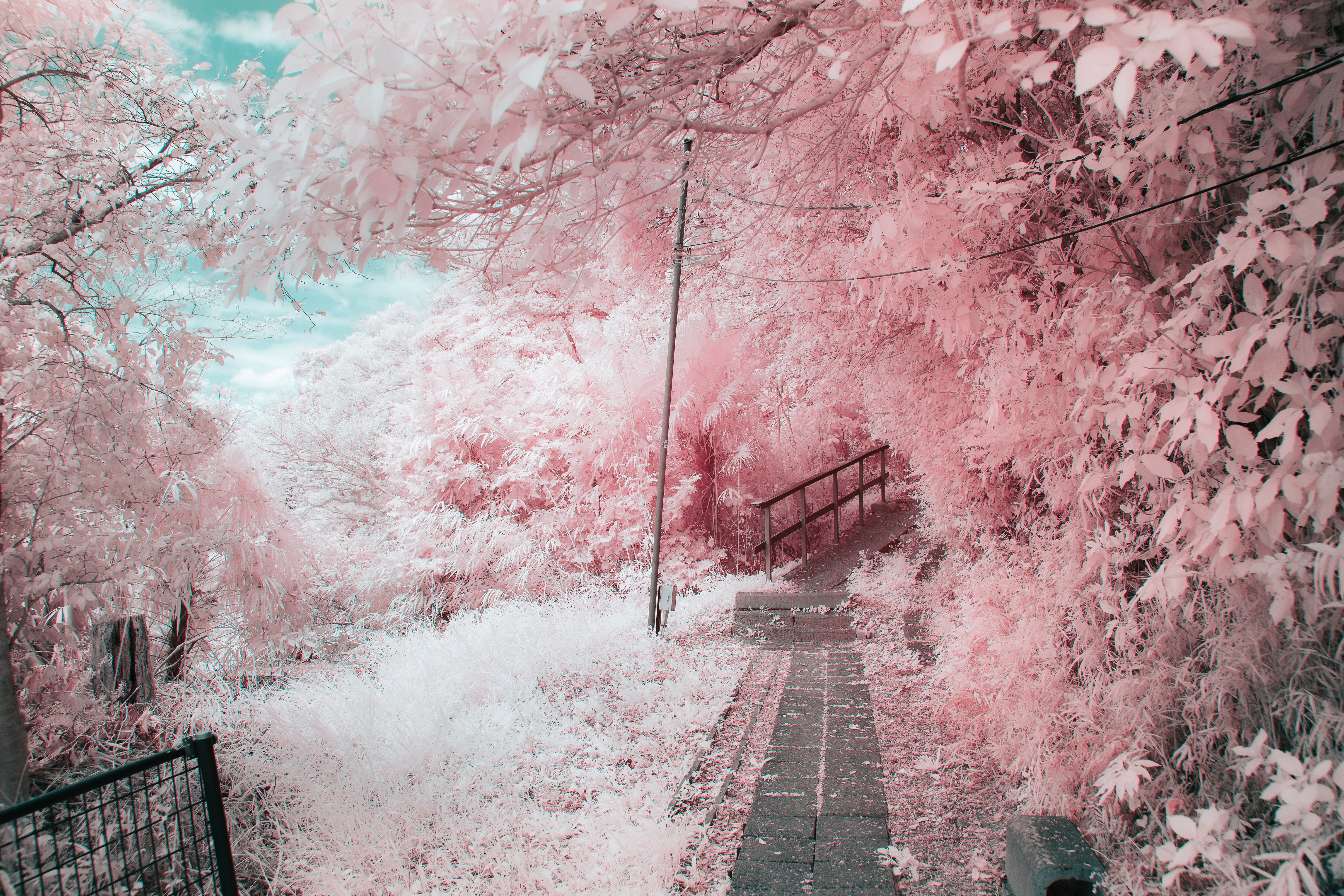 photo like a painting