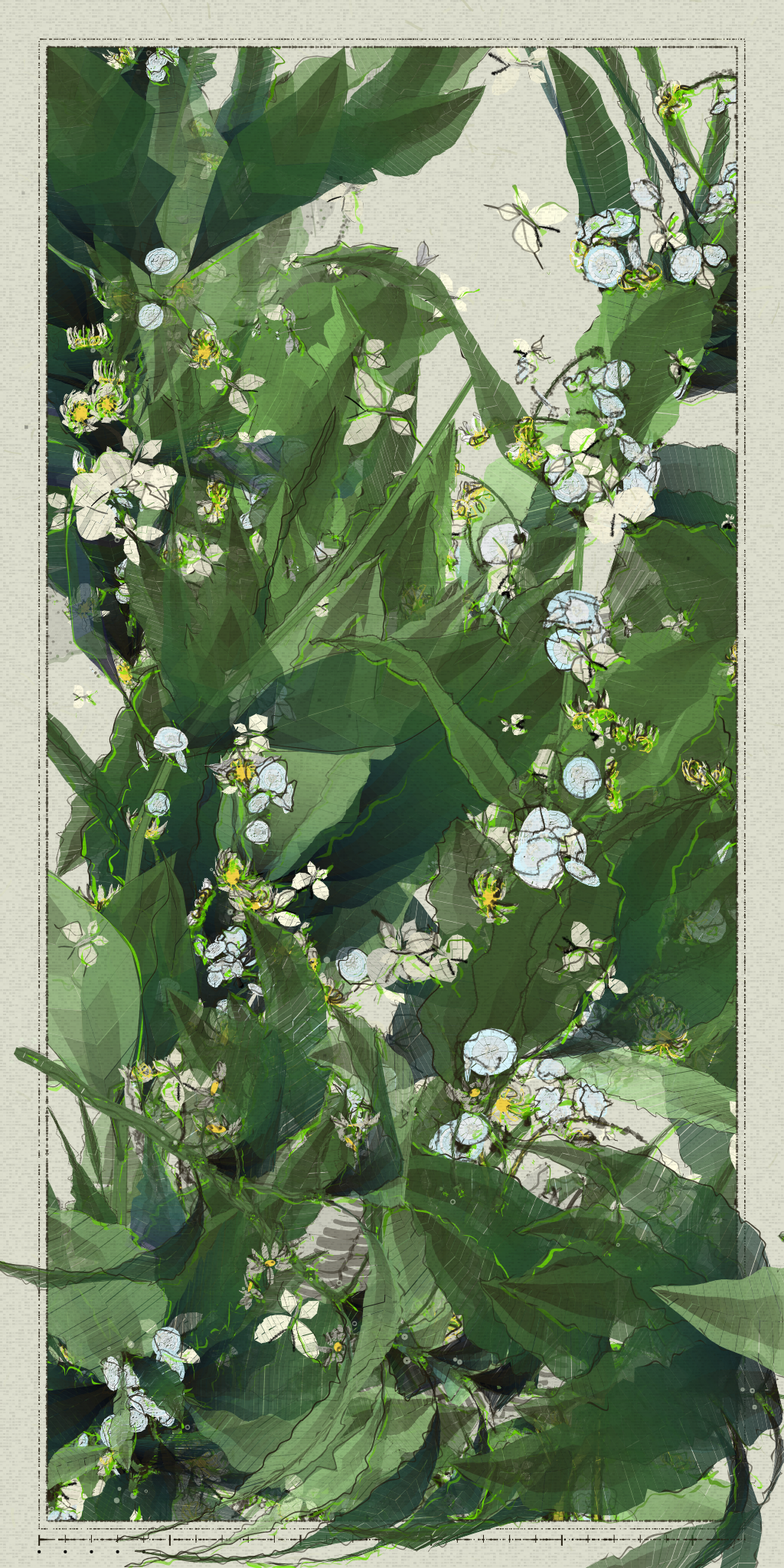 Polypaths | 植徑集 #556
