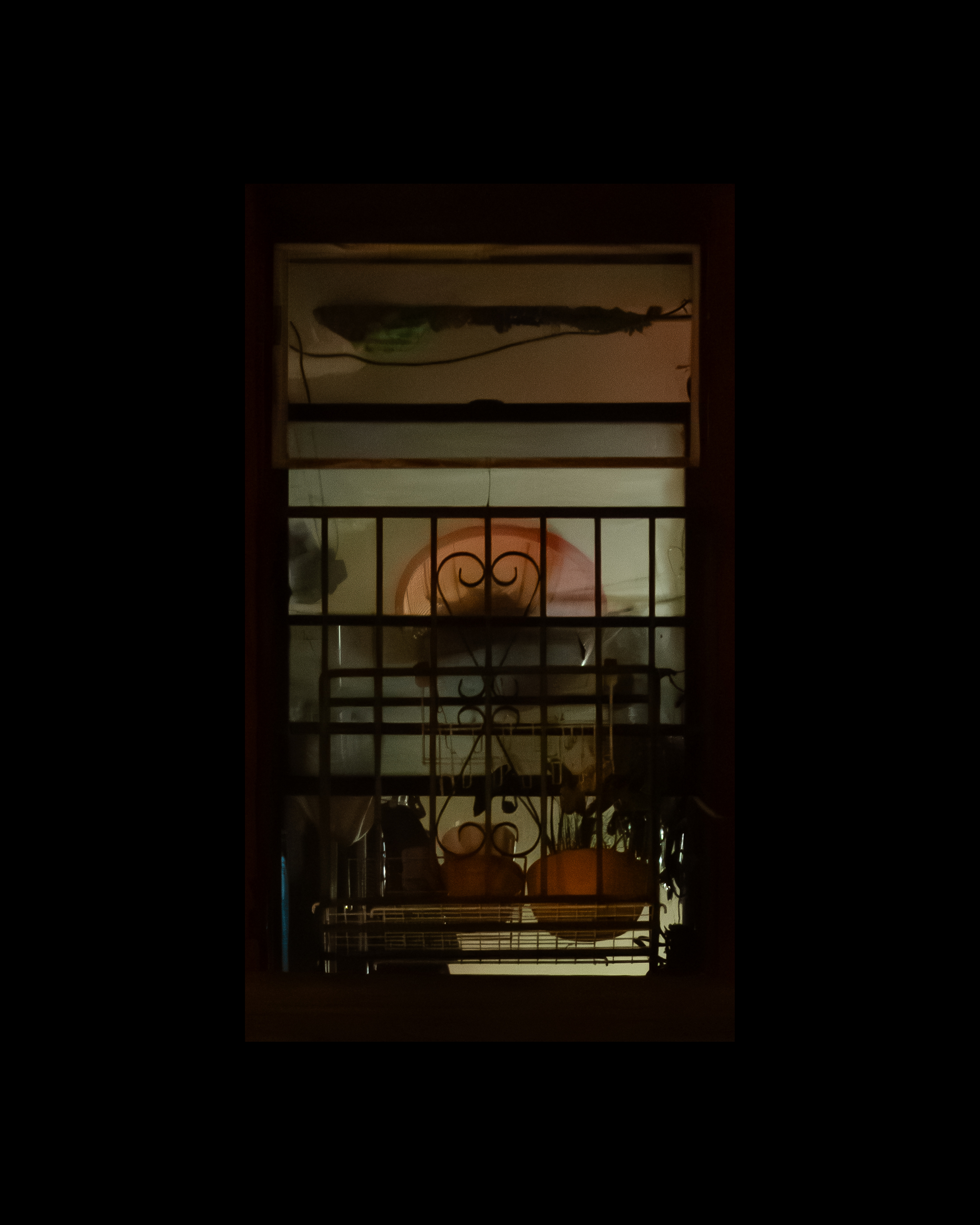 WINDOW 449