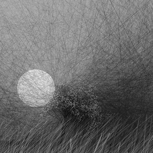 conversation with the wind / Created by code Patron Edition