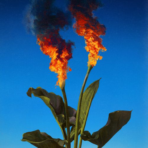 Bloom and Doom #92