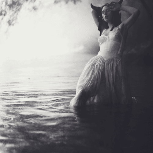Photo #91