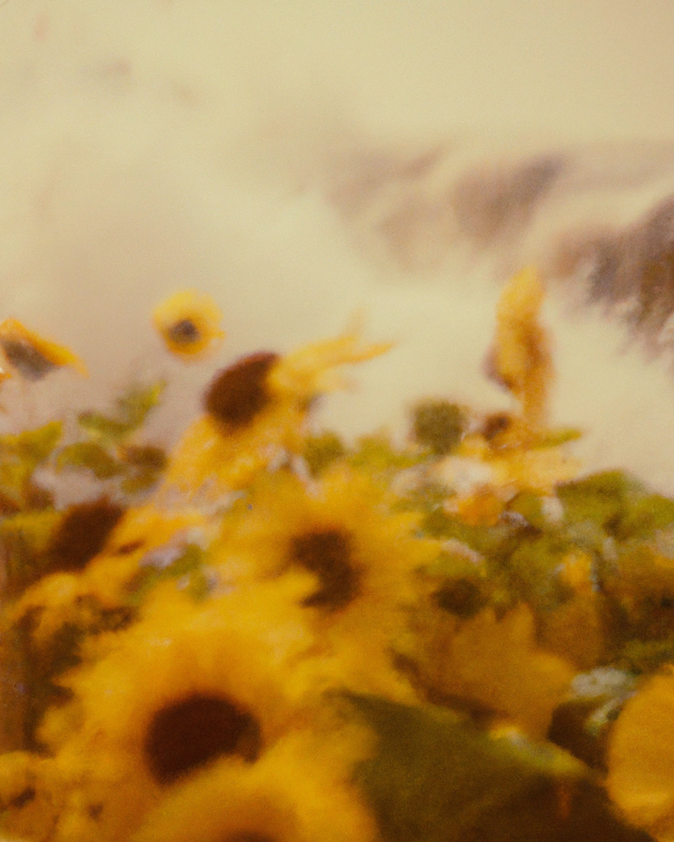 Tsunflower Chaos #108