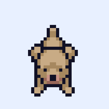 Dog #104