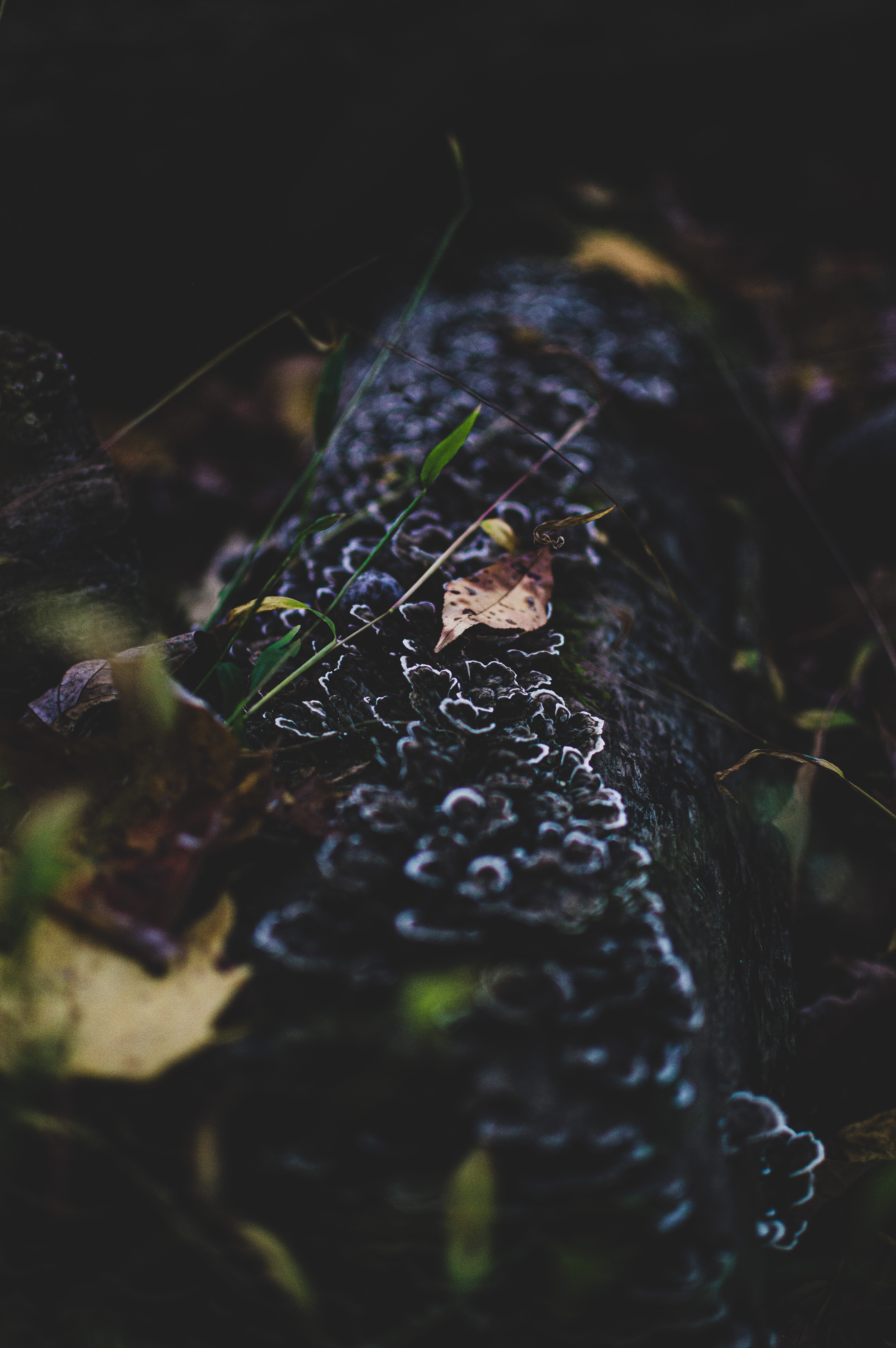 "textures."
