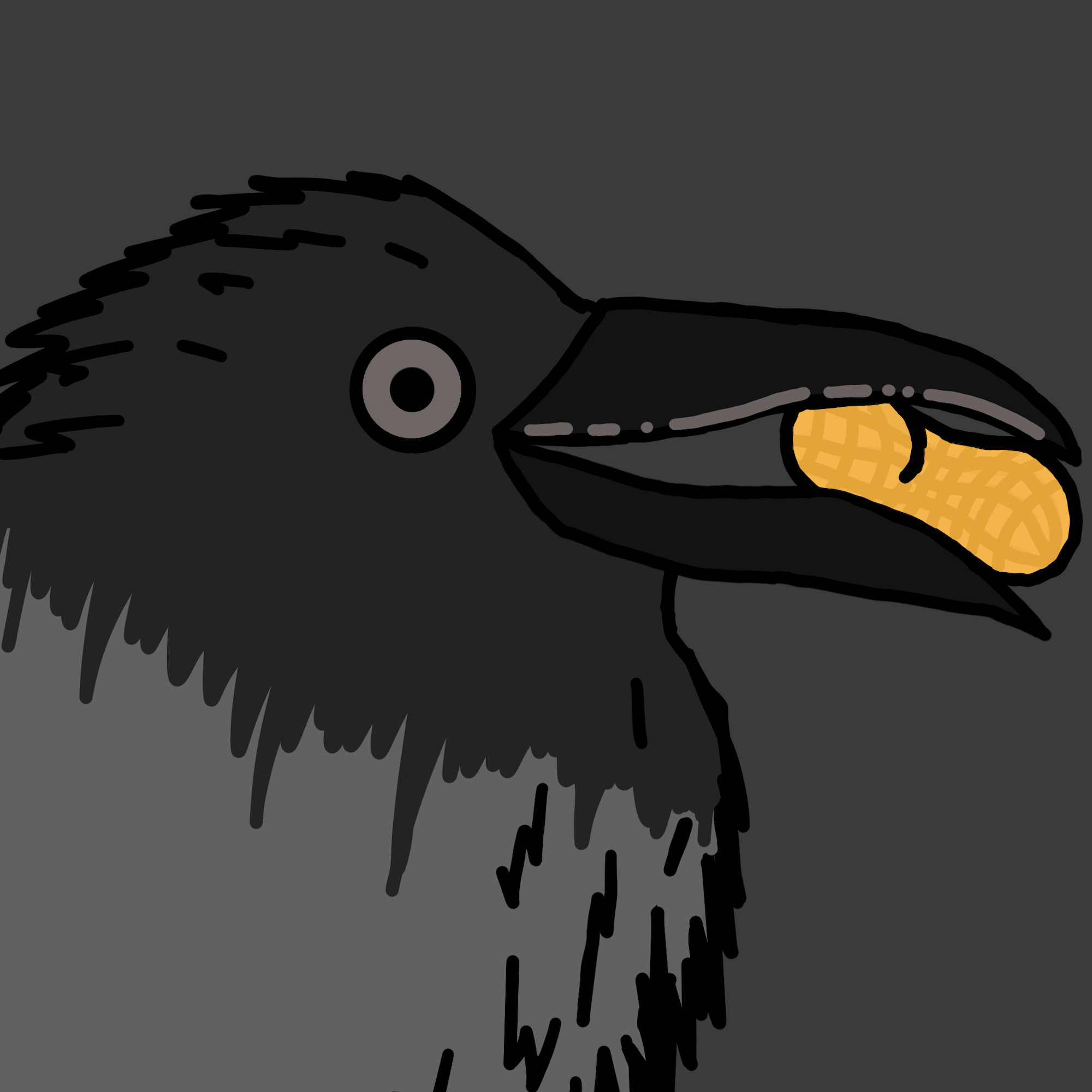 Crow Friends #598
