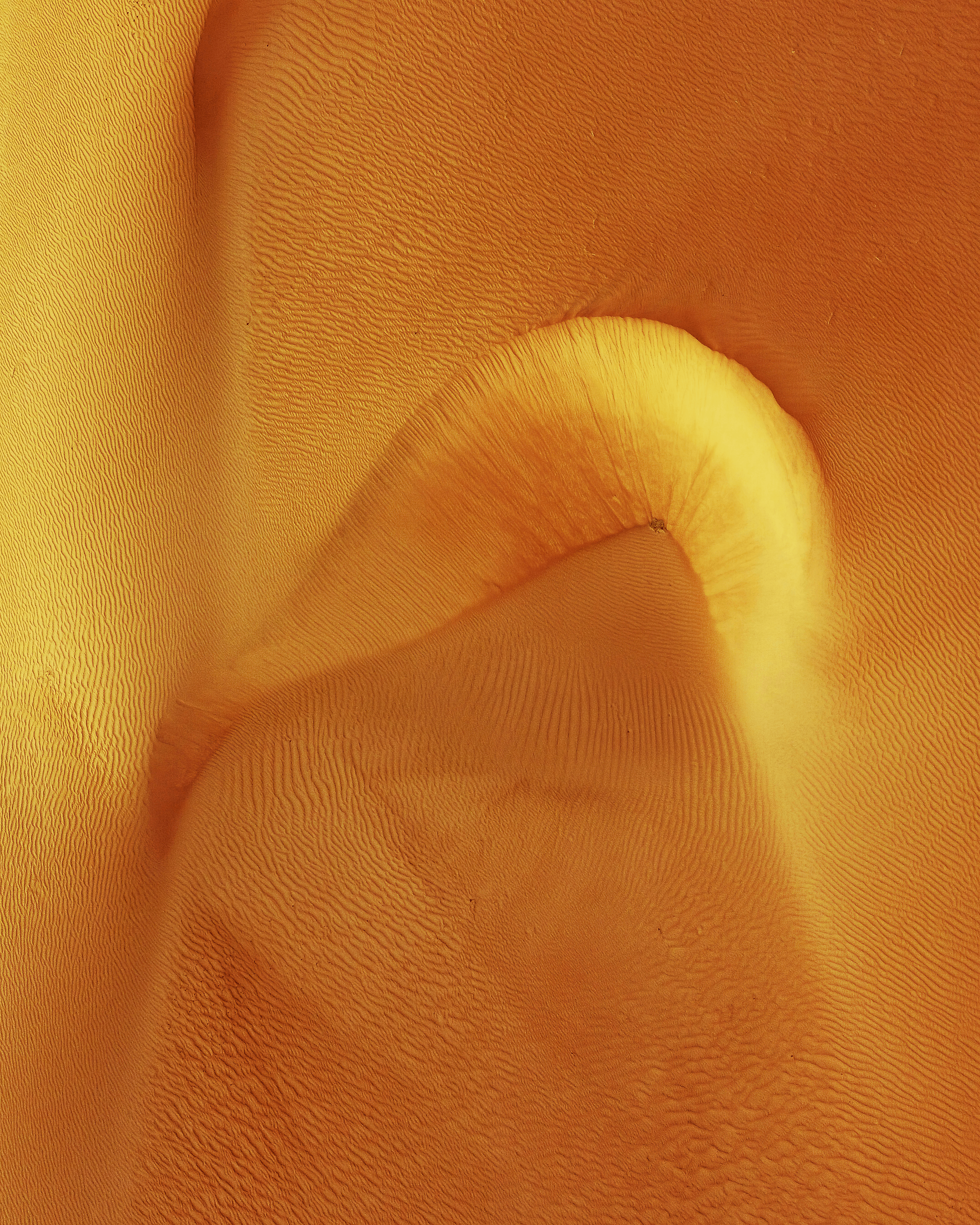 Desert Rose