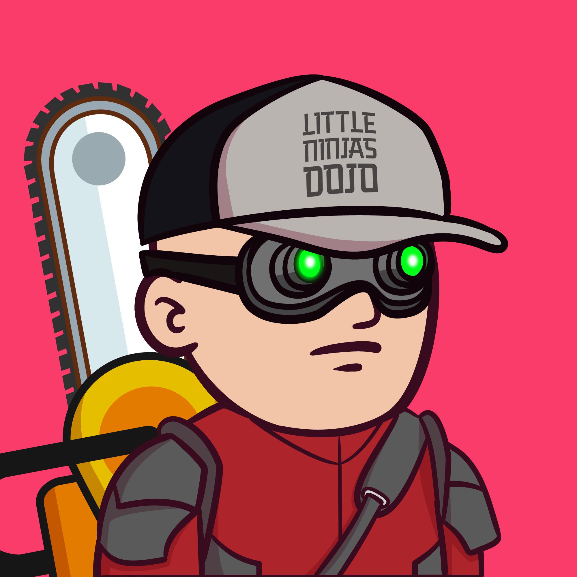 Little Ninjas Dojo #2243
