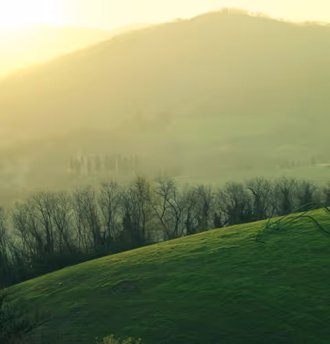 Mountains 