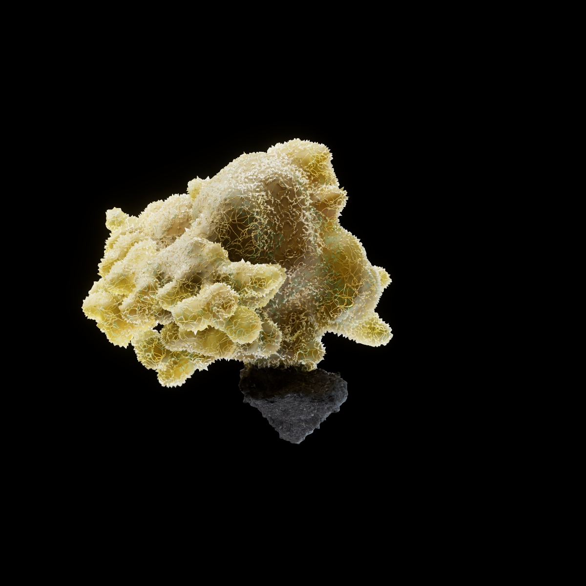 OG Crystals #6458