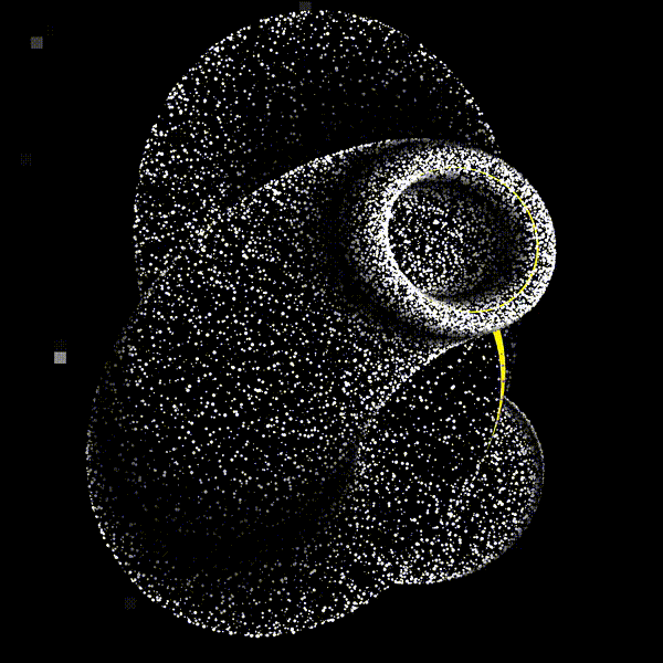 Monochromosome #13/50