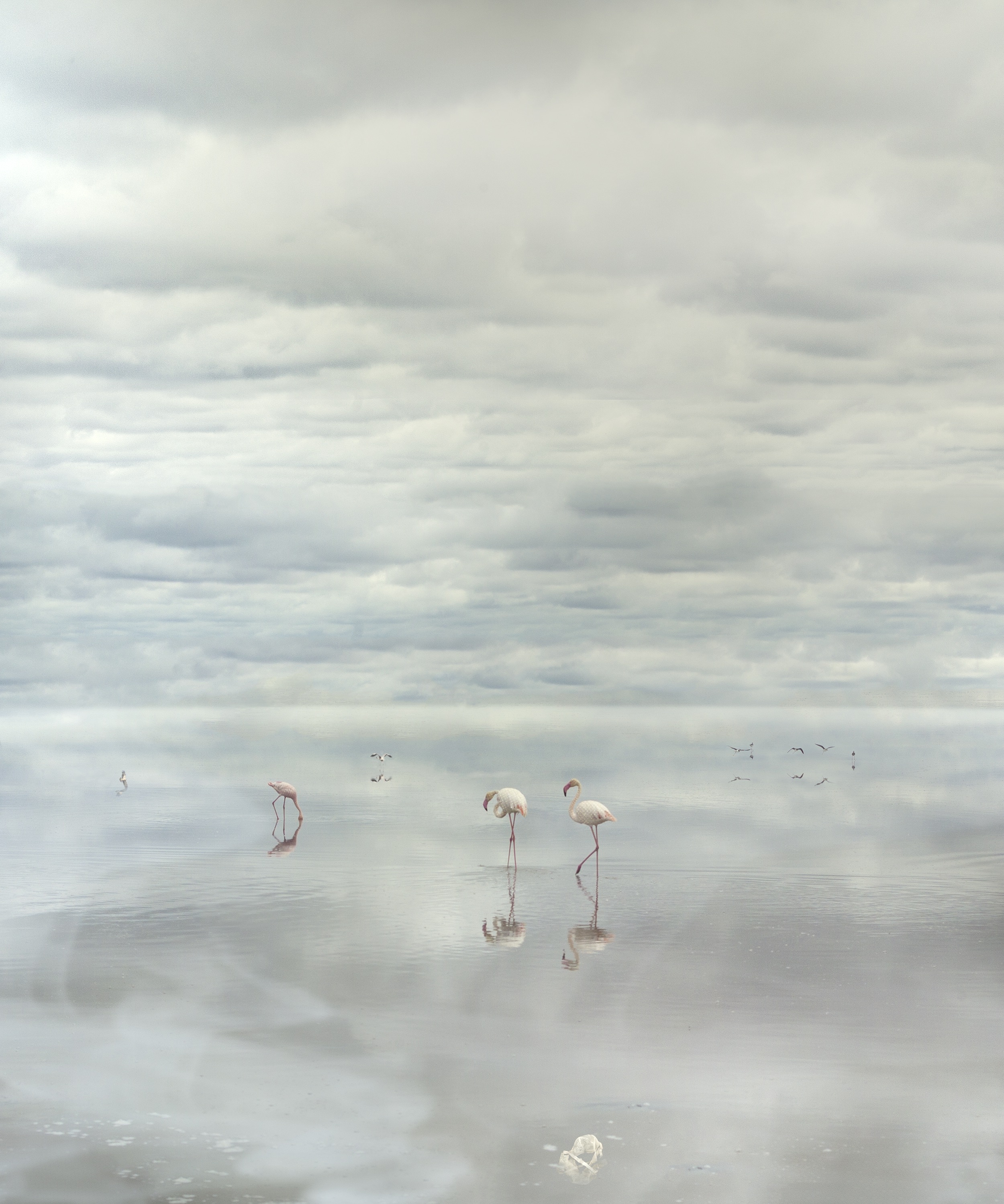 PHOTOPIA 2022 #6548