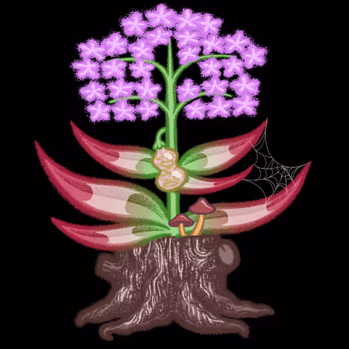 Bloomer #436
