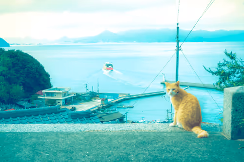 Dreamy days #35