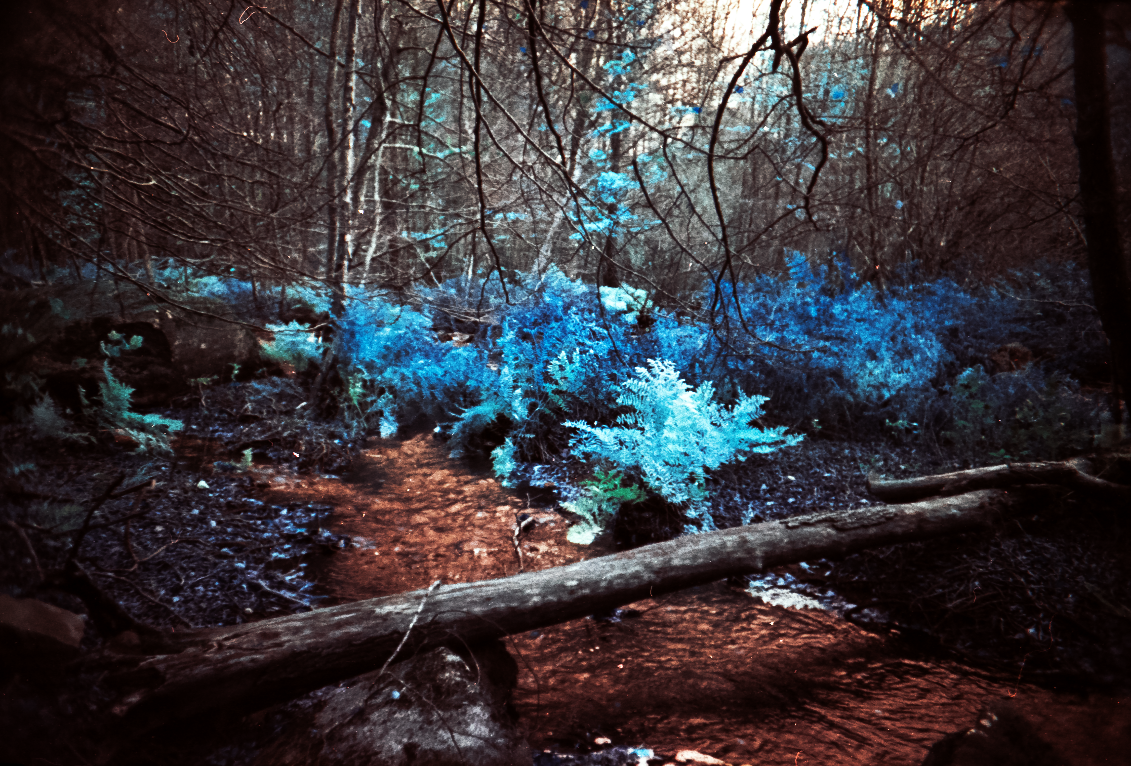 28 - mythwoods
