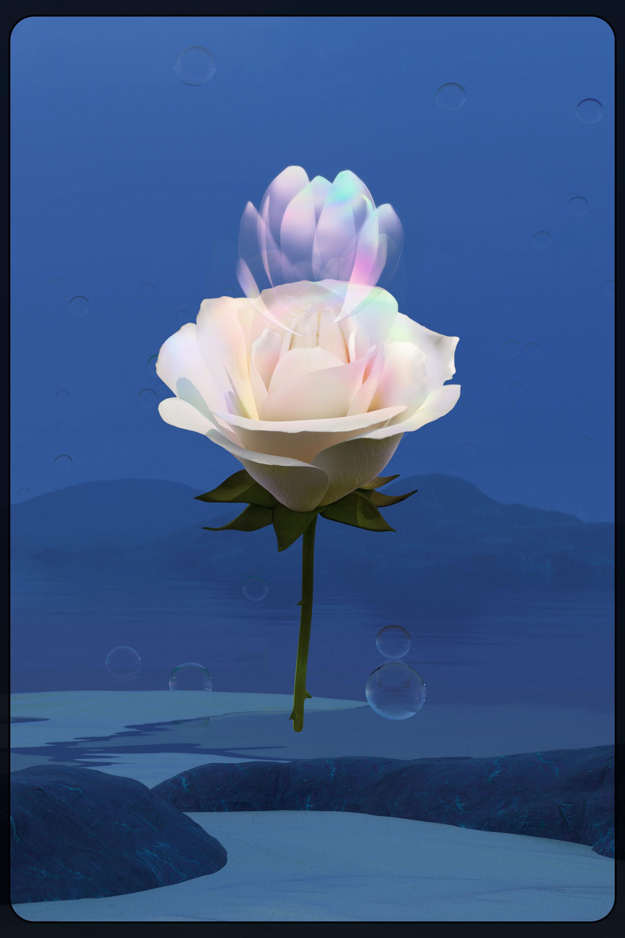 Eternal Rose 21