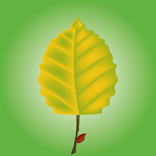 LonelyLeafs #18