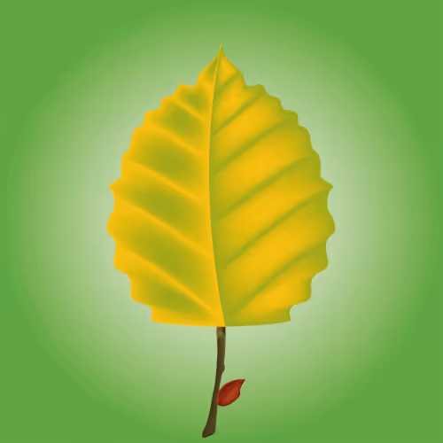 LonelyLeafs #18
