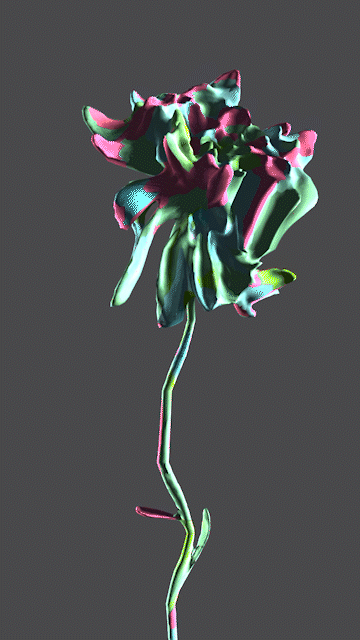 Chrysanthemum