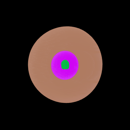 Dossy #5316