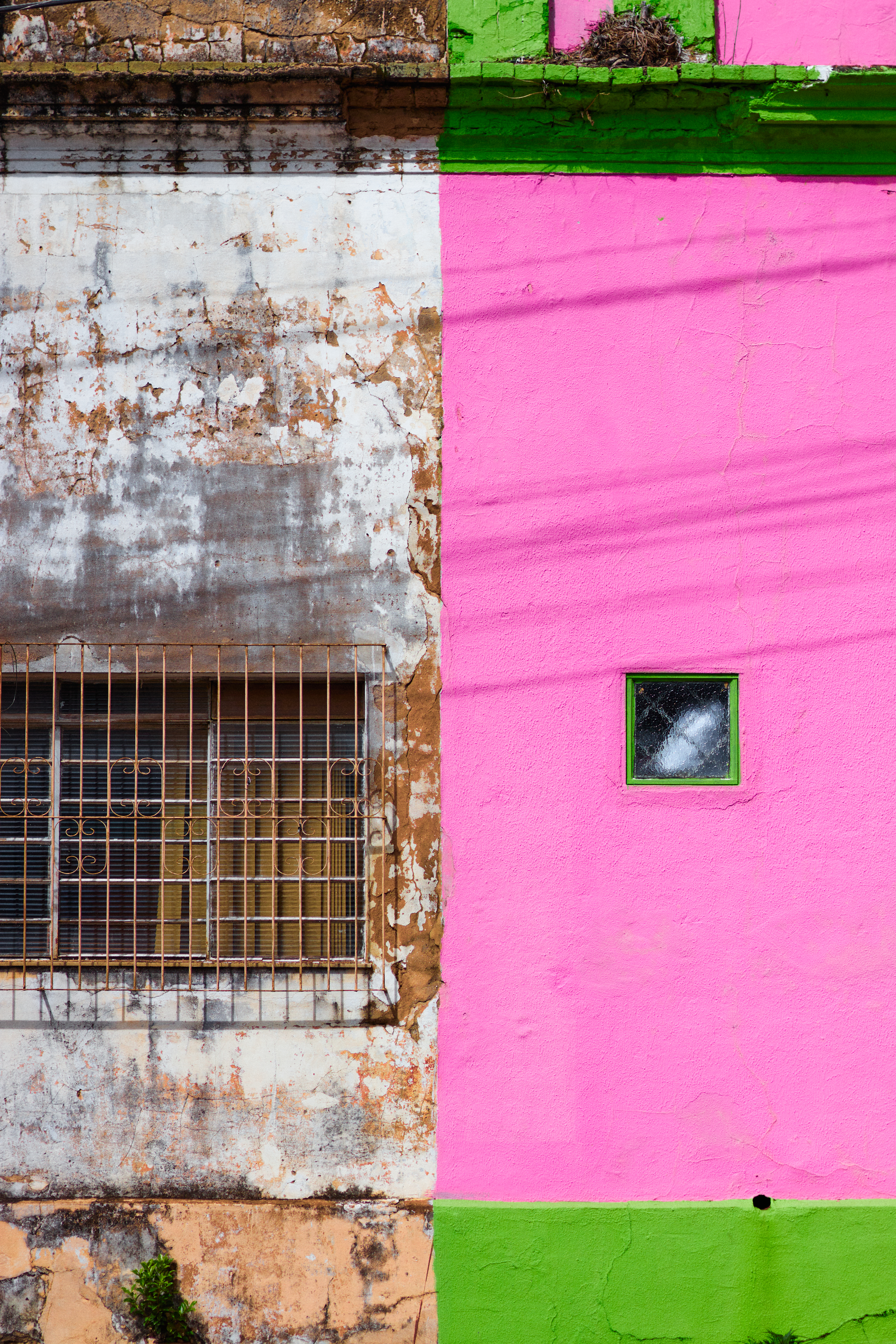 Contrast #4