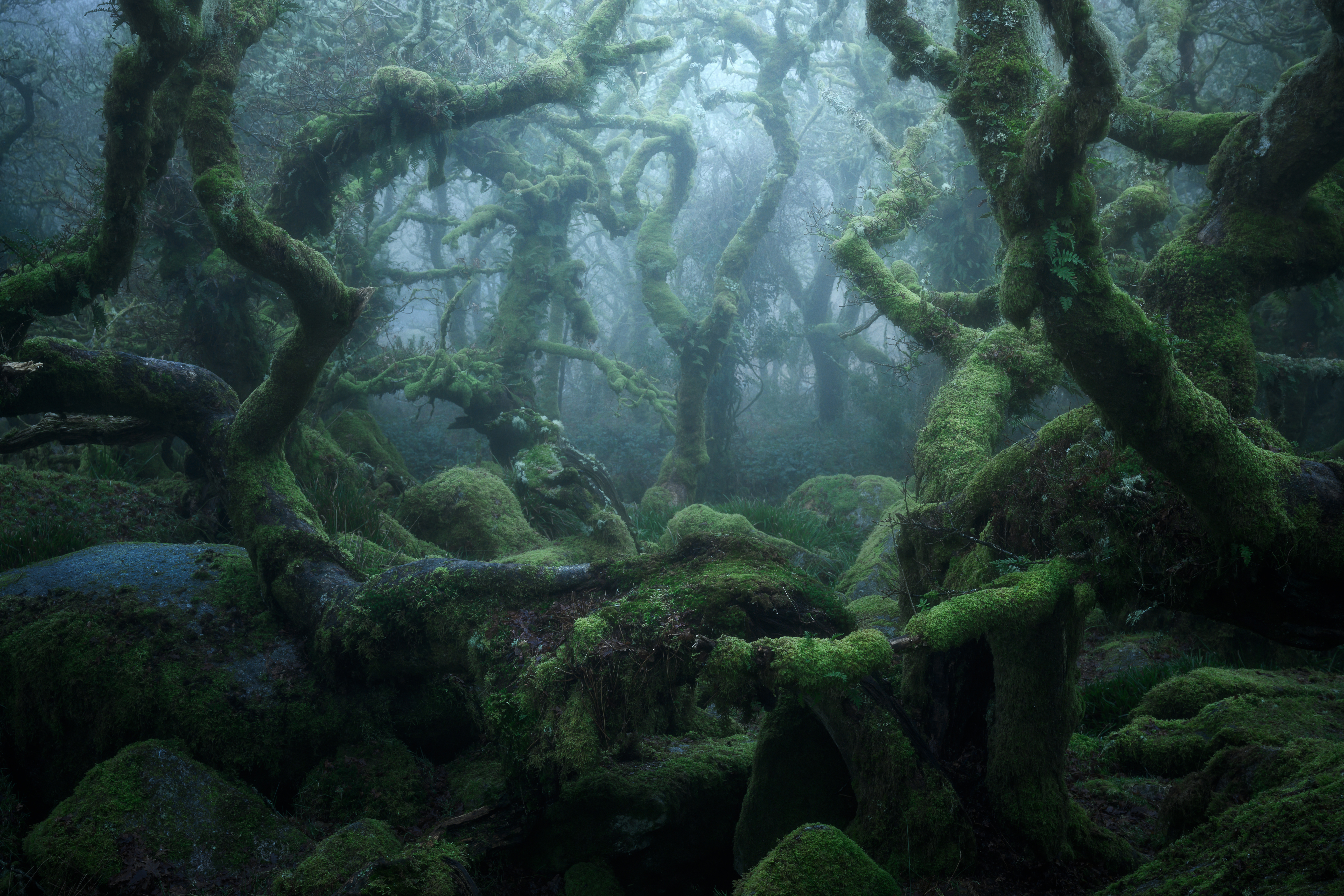 Labyrinth