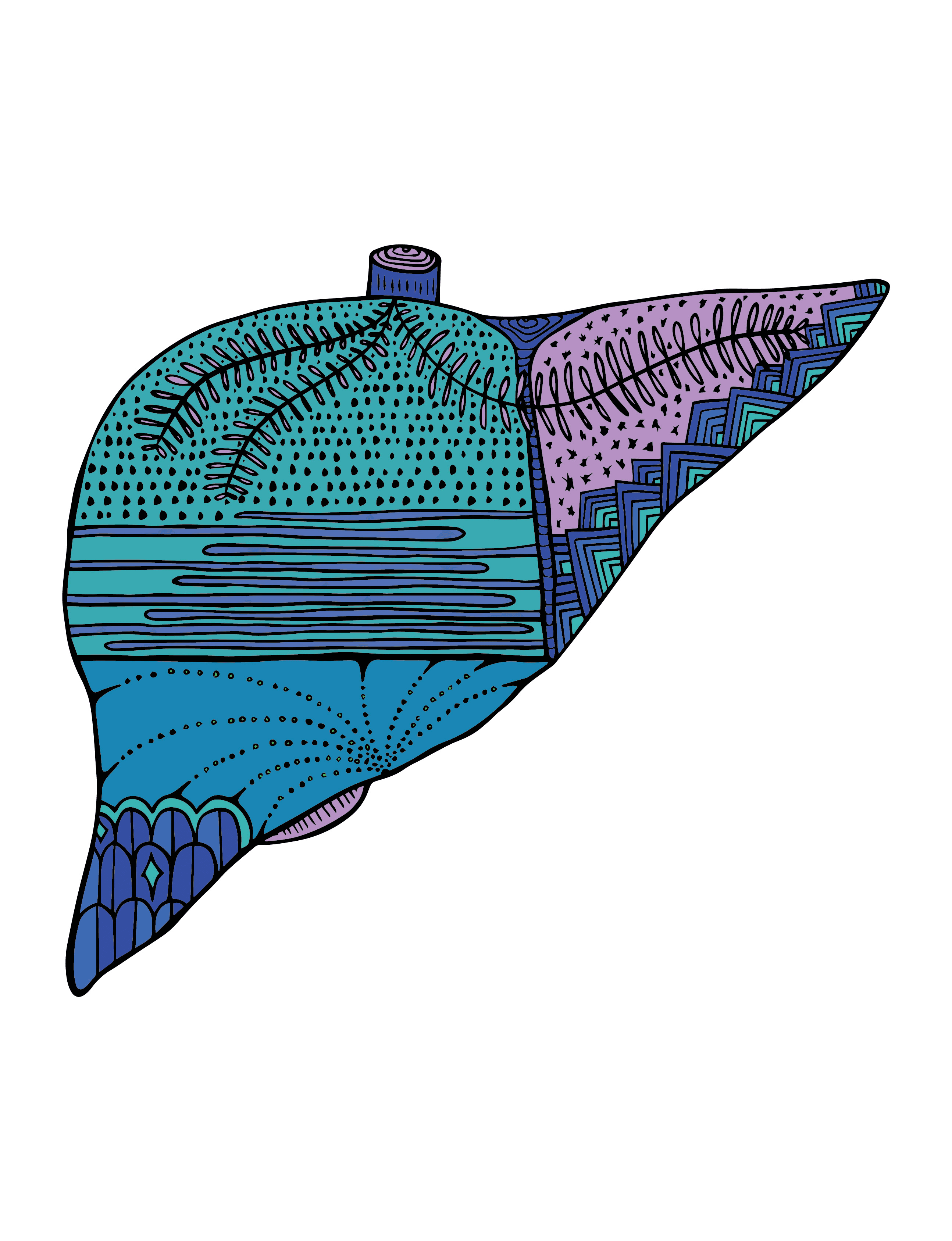 Liver #94
