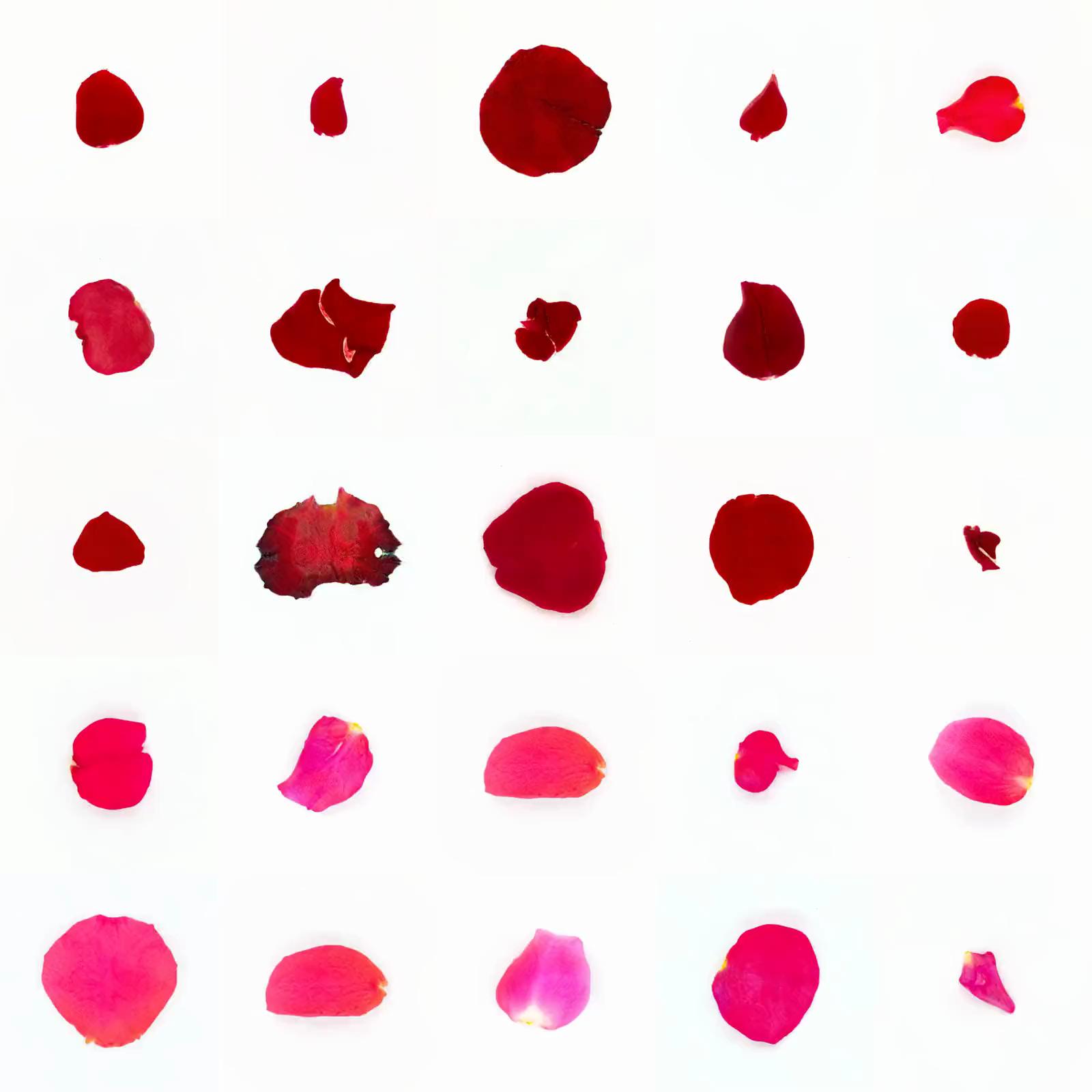 Infinite Petals 5x5#21665