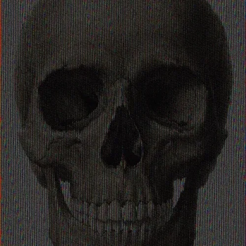 Memento Mori #310