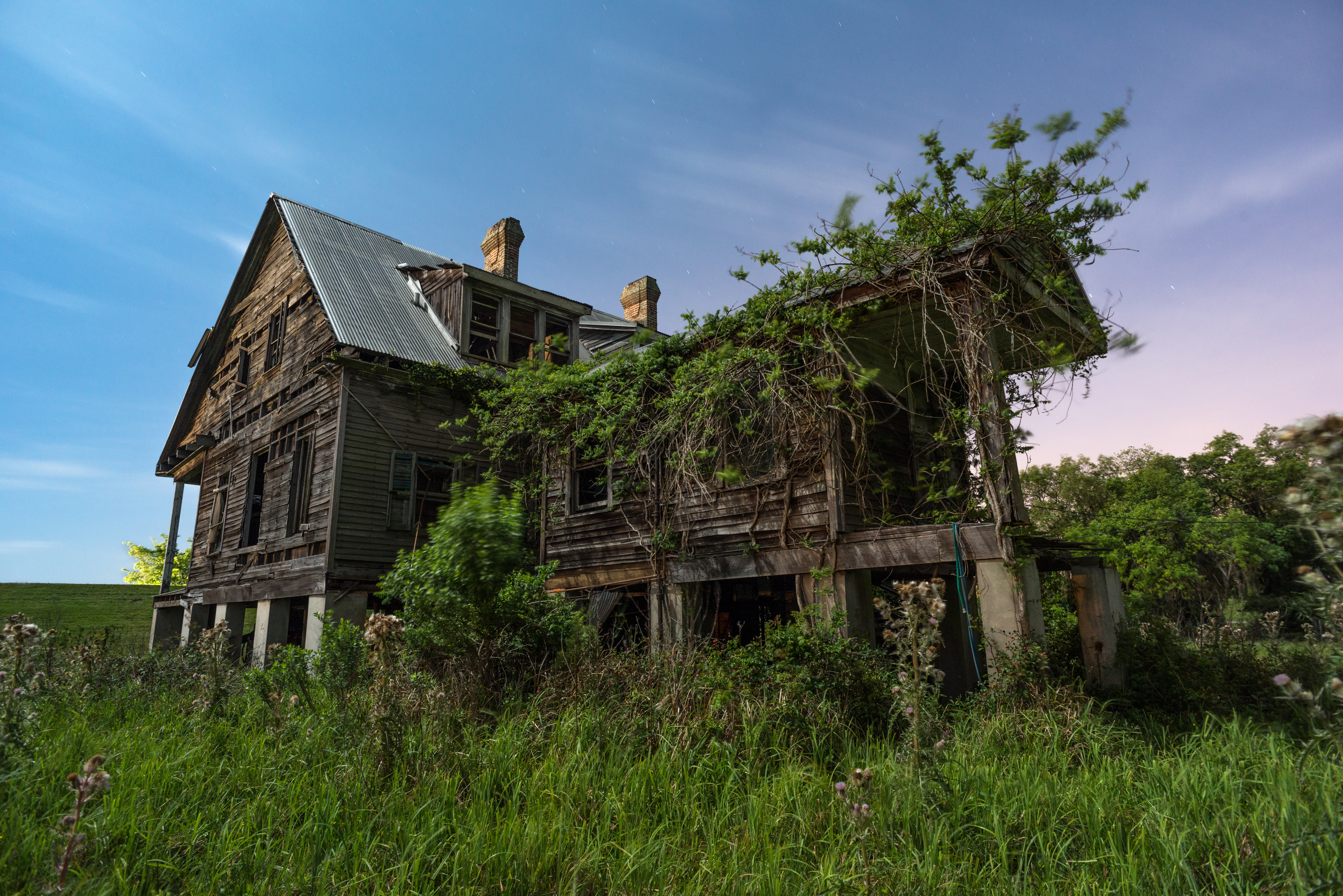 Harlem Plantation II