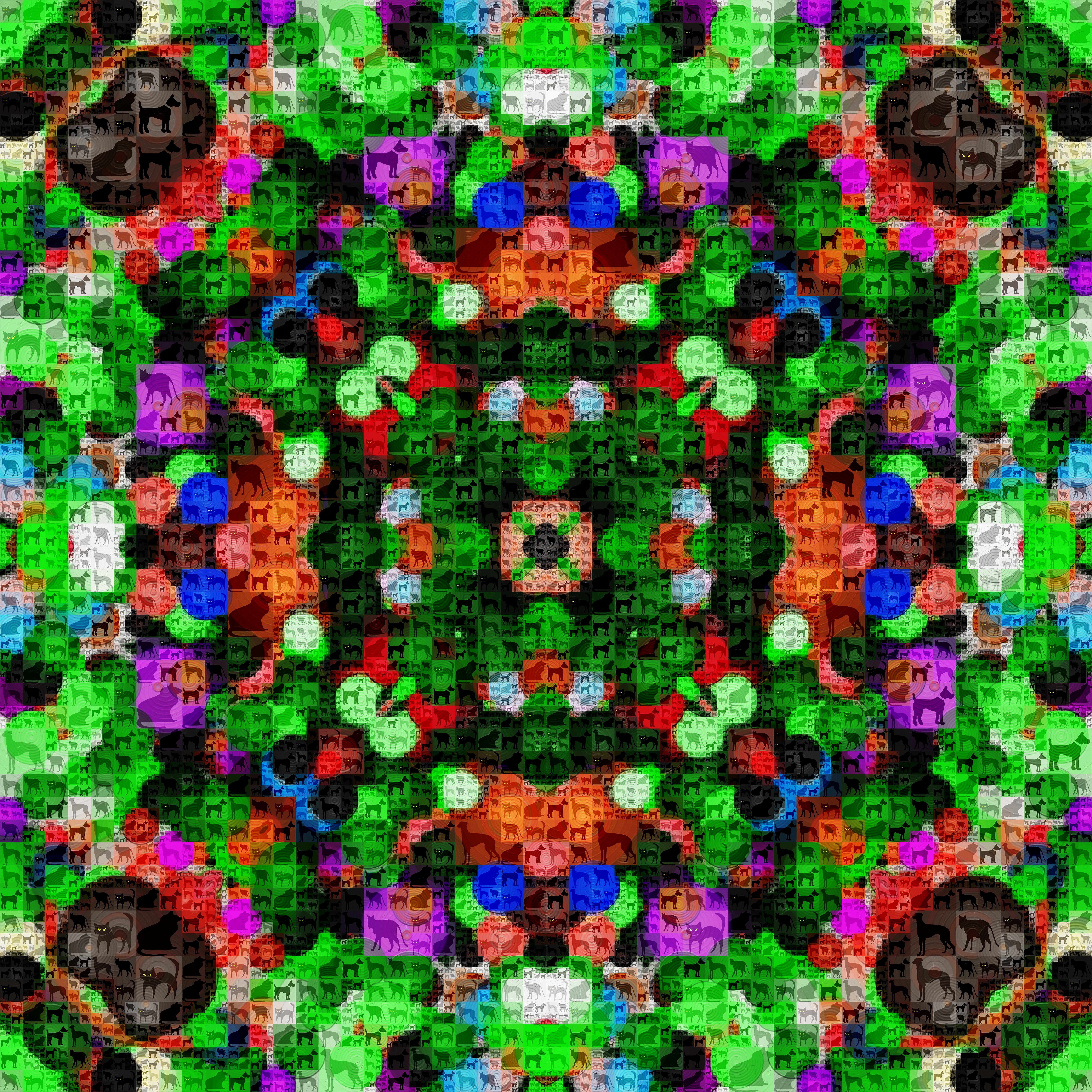 Algorithmic Beauty 80