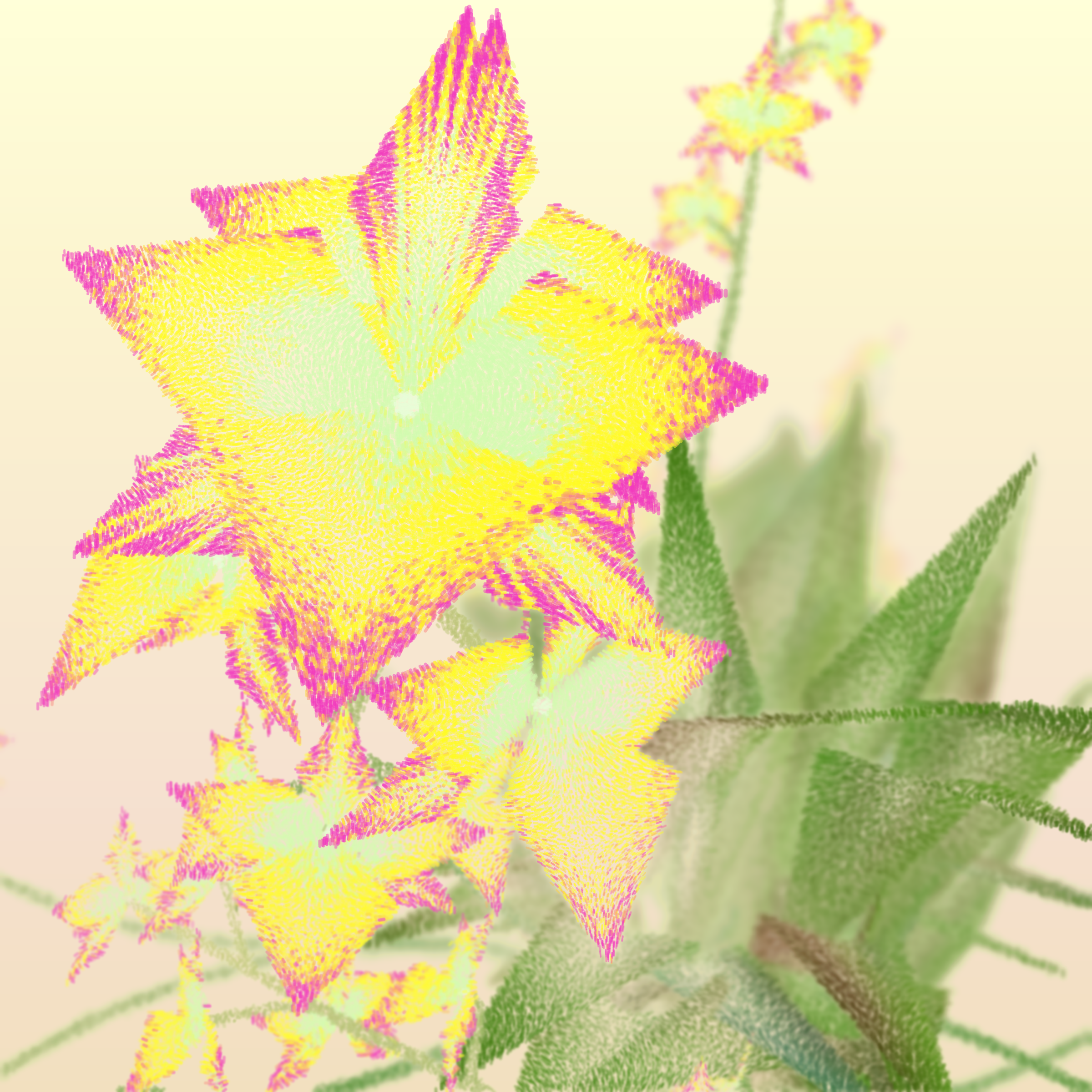 Cattleya #16